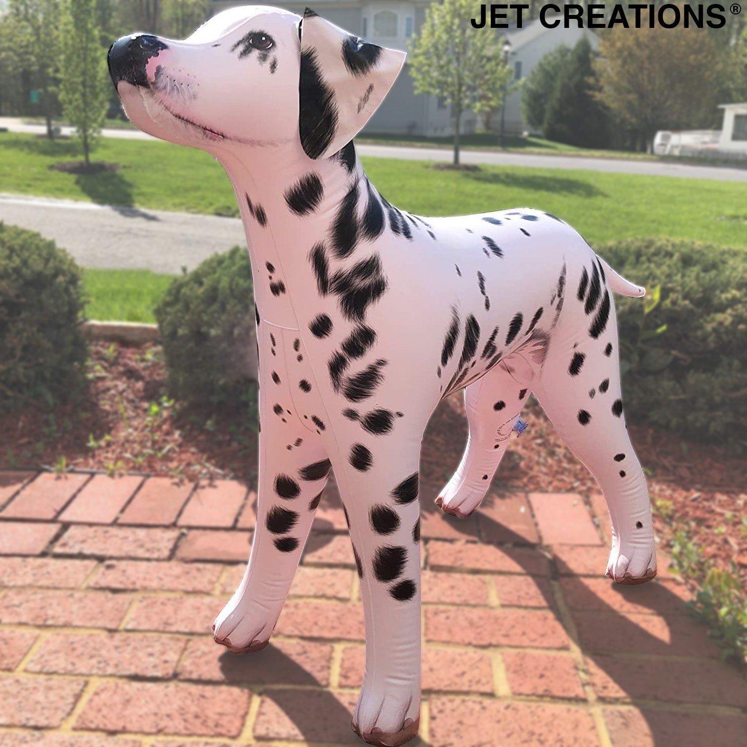 AN-DALM 39inch Dalmatian Decor Front-Left