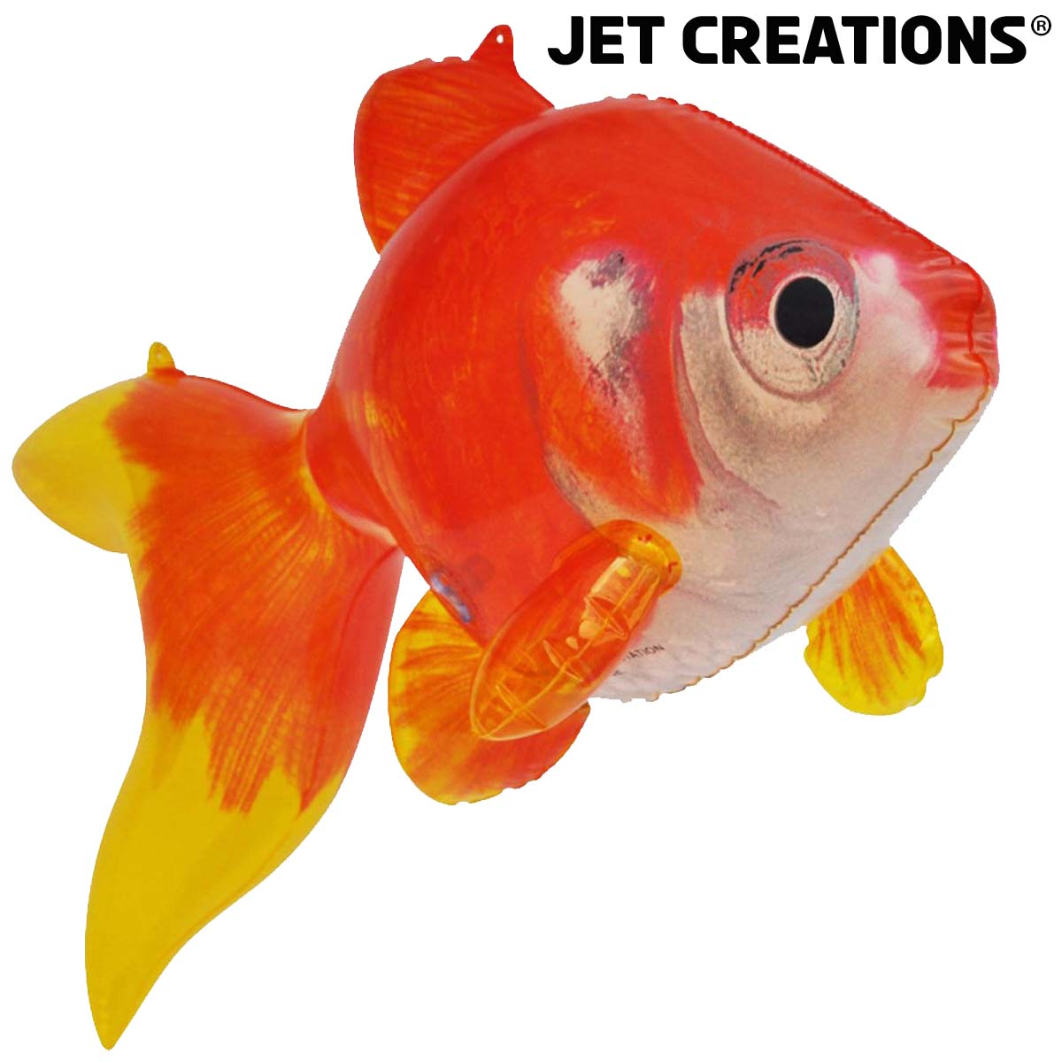 AN-GOLD 20inch Goldfish Right Front