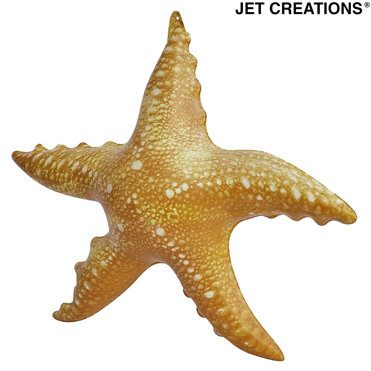 Starfish 10 Pack Green Blue & White Assorted Star Fish 2-4 Inch