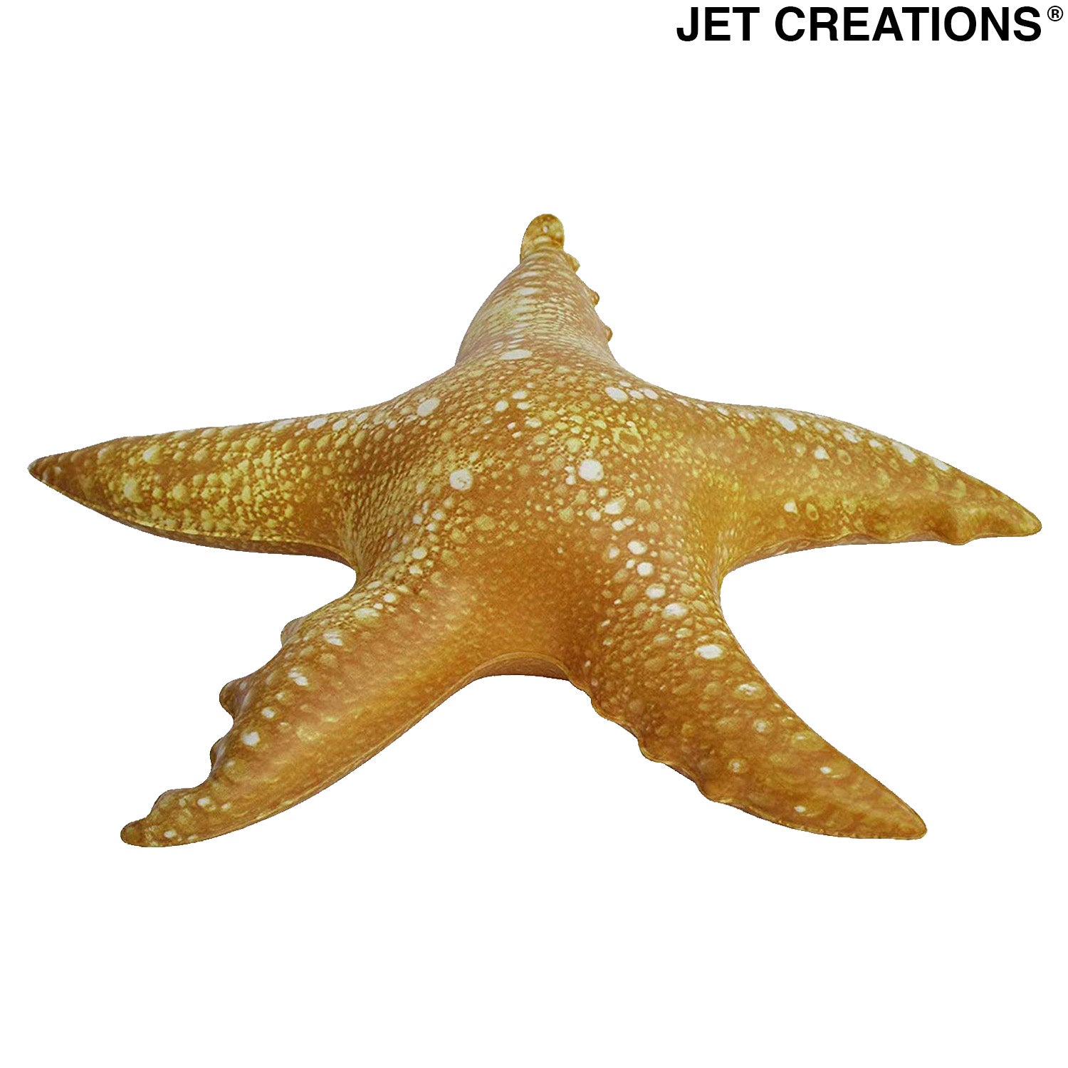 AN-STAR4 20inch Star fish - Top