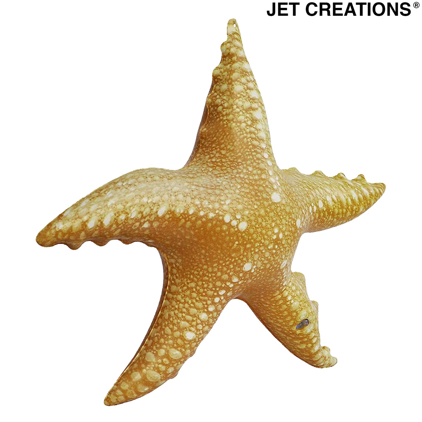 AN-STAR4 20inch Star fish - Front Right