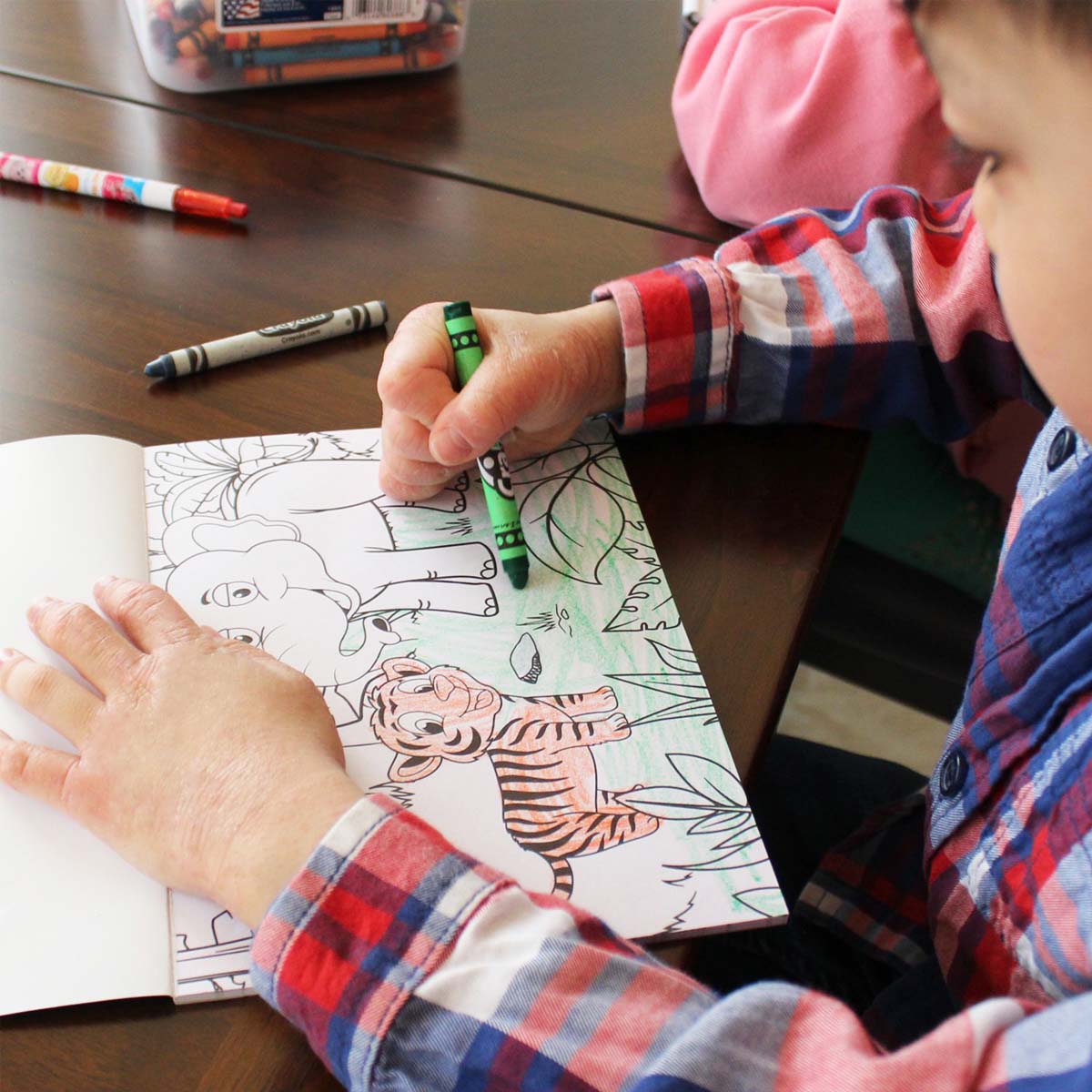 Animals Coloring Book 