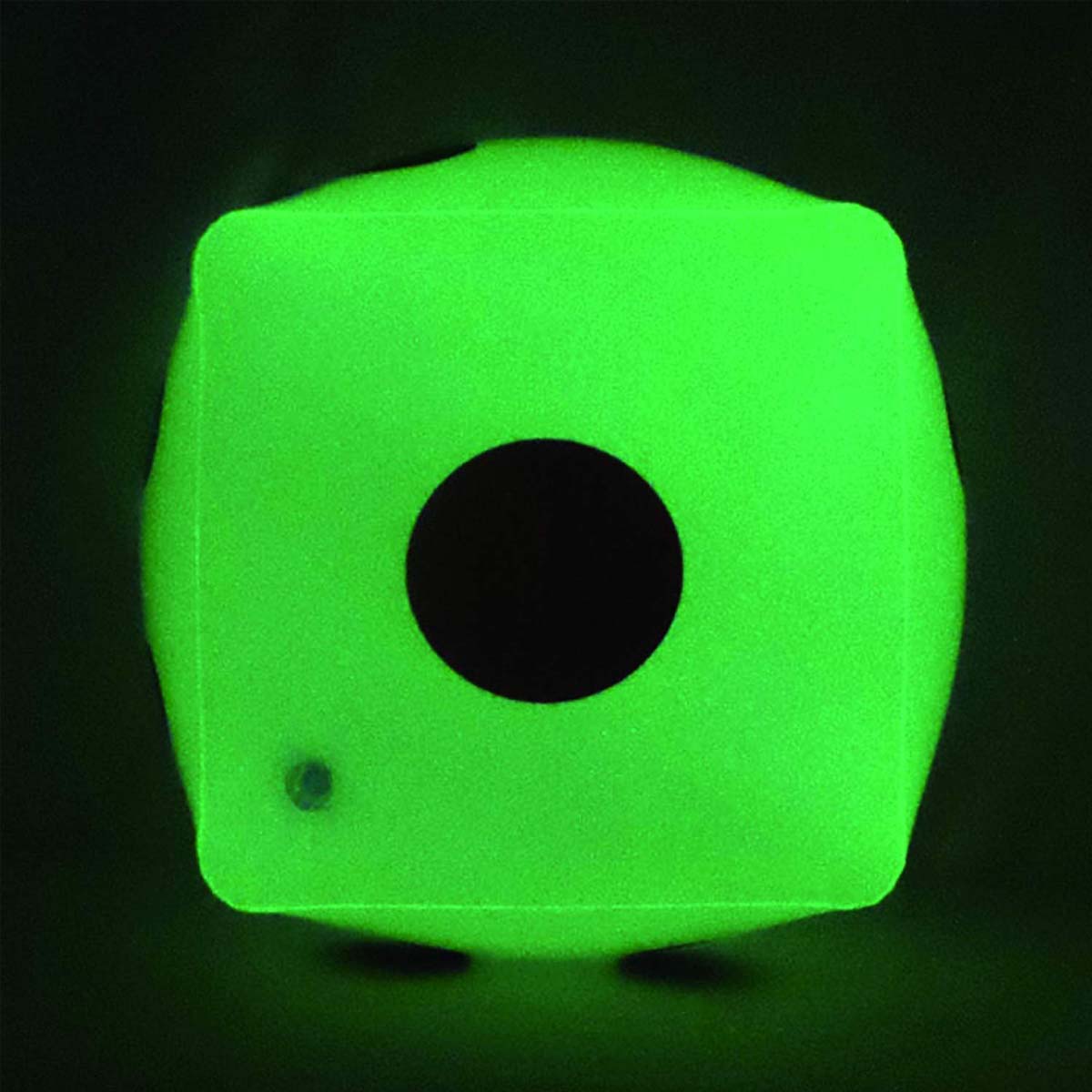 GTO-DICE66 Glow in the Dark Dice Front