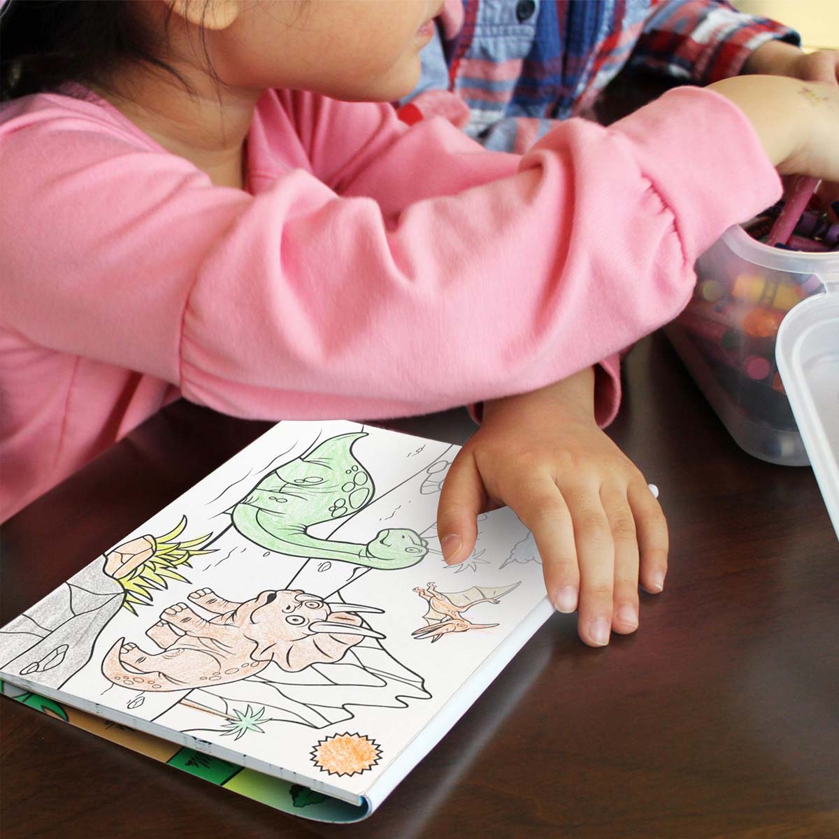 Dinosaurs Coloring Book