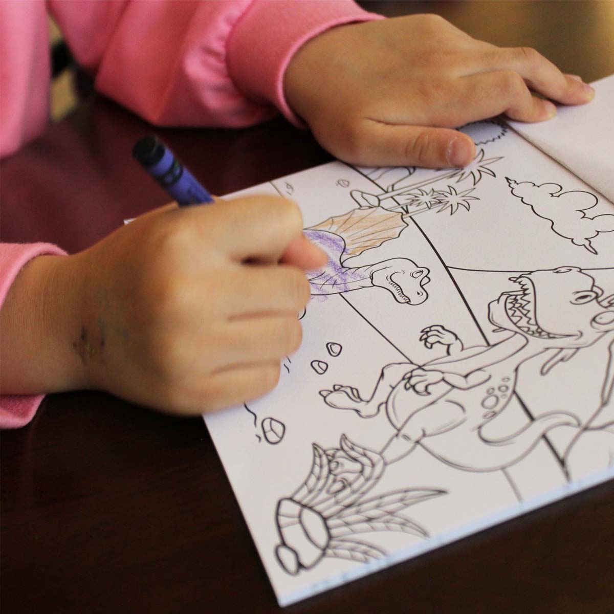 Dinosaurs Coloring Book