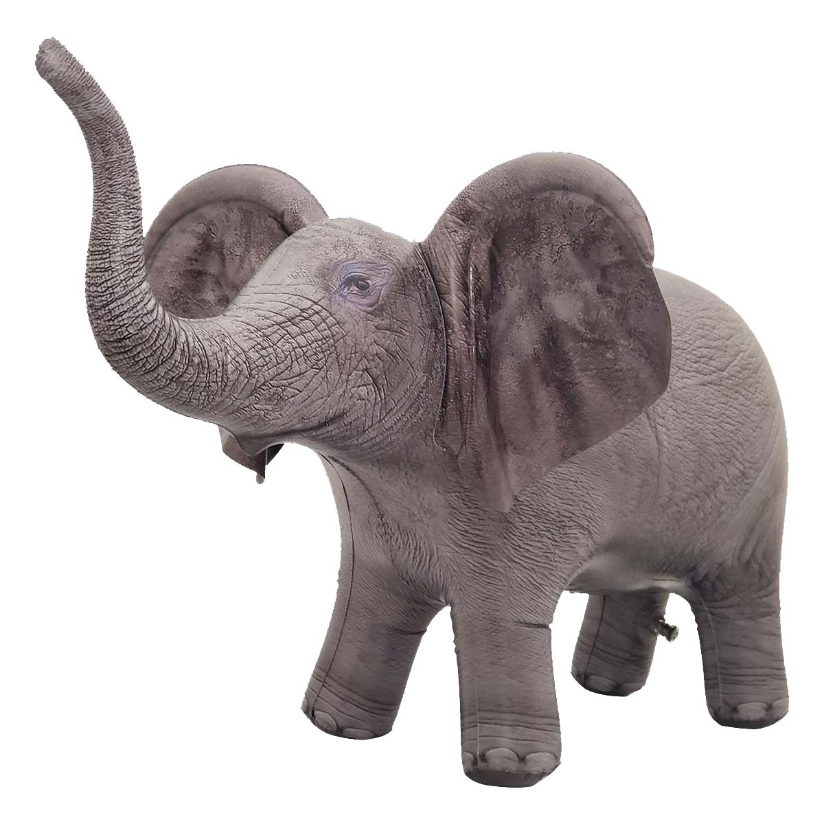 AN-ELE8 36inch Elephant Left Front