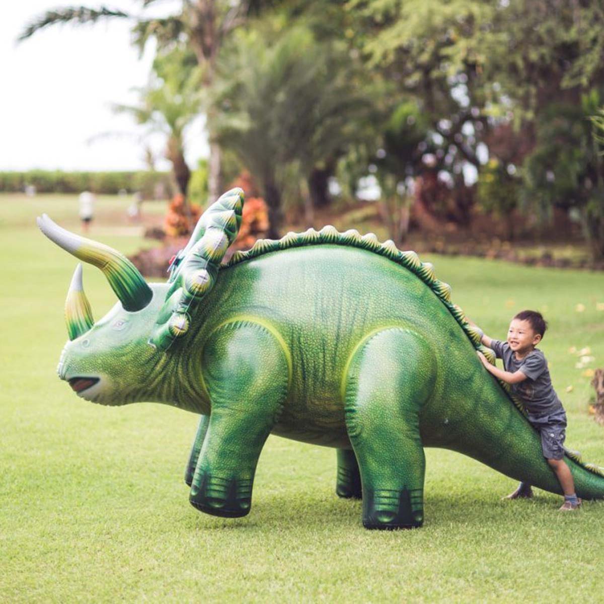 DI-TRIX 120inch Triceratops Model